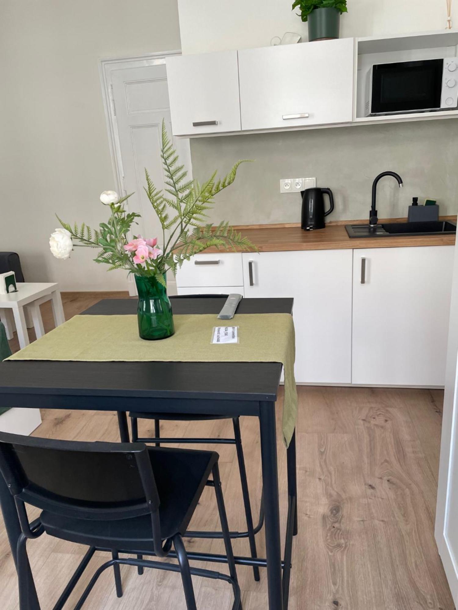 Apartment U Mamlasu Brno