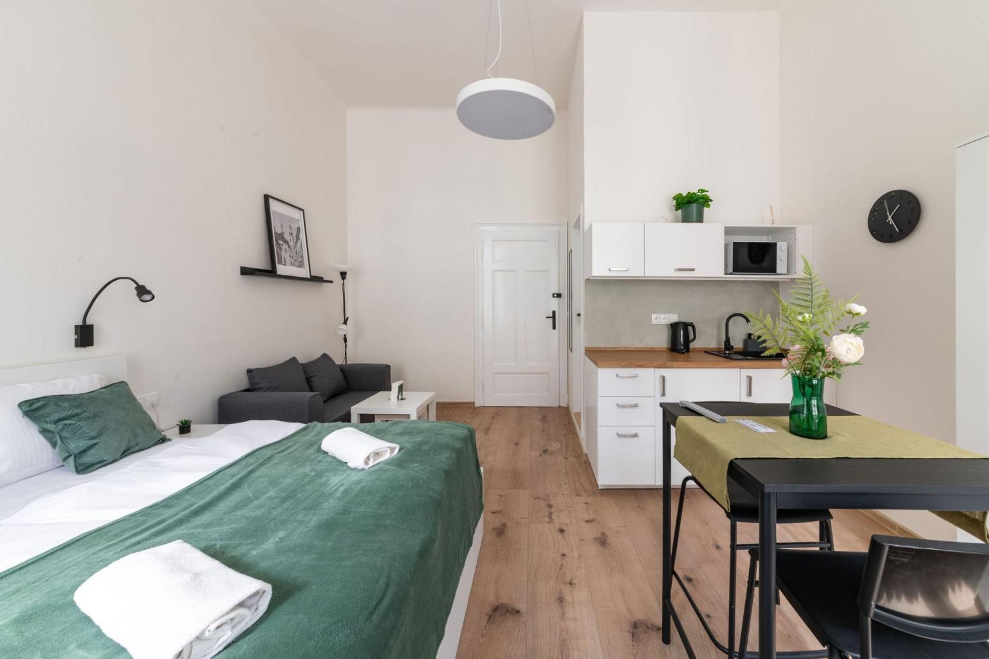 Apartment U Mamlasu Brno