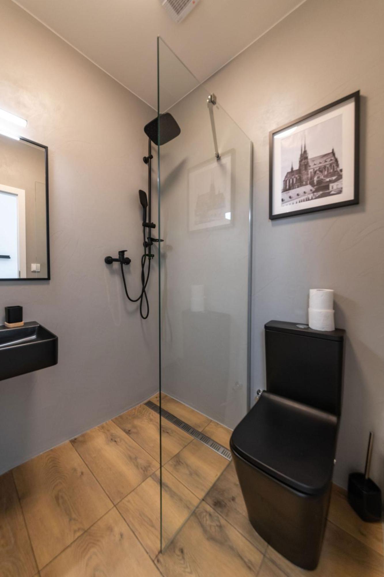 U Mamlasu Apartment Brno