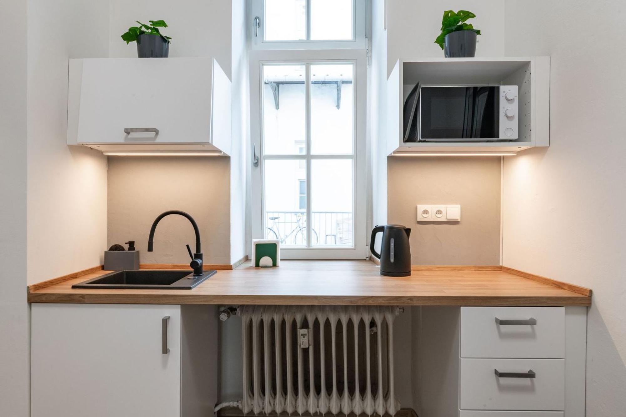 U Mamlasu Apartment Brno